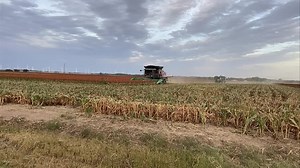 73K views · 463 reactions | Short field trip today. Gotta drive semi for a load too. Great time out. | Rockin H Farm Toys | Facebook