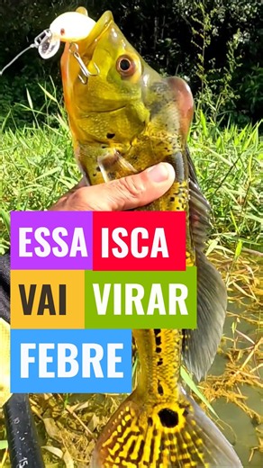 BUDGET-FRIENDLY LURE THAT REALLY CATCHES!