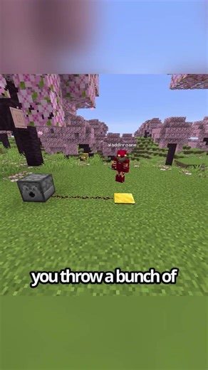 Why are there four different pressure plates in Minecraft?