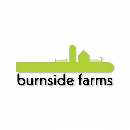 Virginia Tulip Fields & Photo Ops | Burnside Farms Festival of Spring — Burnside Farms