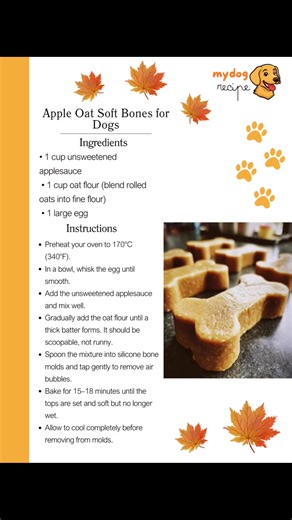 106K views · 863 reactions | I’m Thankful for: My dog | Homemade Dog Food Recipes | Facebook