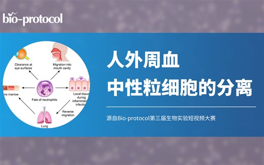 【短视频大赛】人外周血中性粒细胞的分离