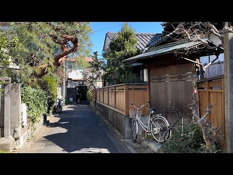 Tokyo Nakai walk [4K HDR]