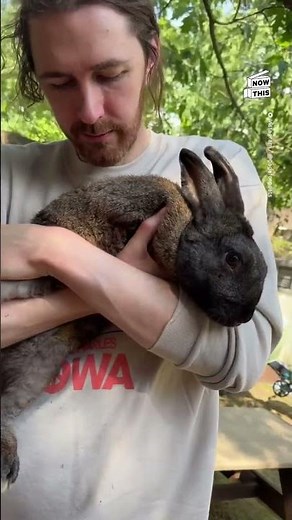 Singer Hozier Interacting With Farm Animals Warms Our Hearts