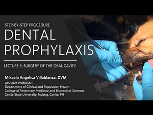 Lecture 5.8 Dental Prophylaxis Step by Step Procedure