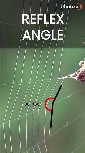 Math Angles in Nature