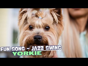 Little Yorkie and His Attitude/Fun Song about Yorkie!
