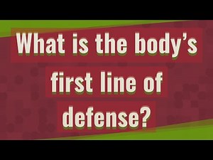 What is the body’s first line of defense?