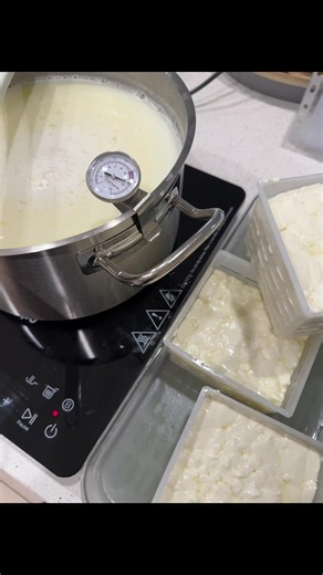 Cheesemaking Hygiene Tips for Safe Cheese Production