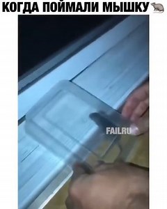 Manyvideo_ on Instagram: "Ставь❤ Покажи друзьям!!! 👇👇👇👇👇👇 👉@manyvideo_ 👉@manyvideo_ 👉@manyvideo_"
