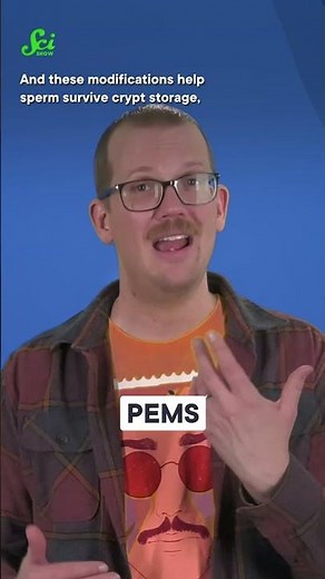 How Long Does Sperm REALLY Live? #science #scishow #STEM #hankgreen