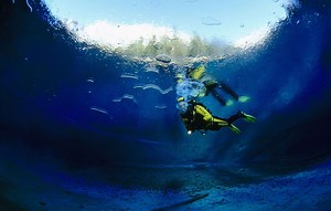 Antarctique : Un plongeur de l’Institut polaire français porté disparu sous la glace