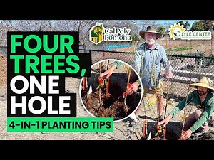 High-Density Fruit Tree Planting at the Lyle Center for Regenerative Studies | Cal Poly Pomona