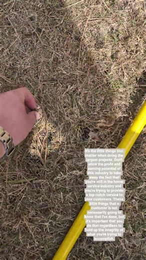 needle in a haystack