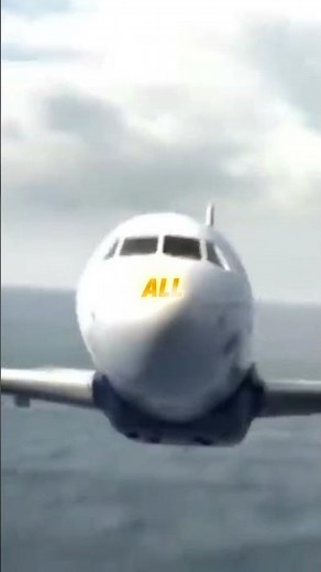 The Miracle on the Hudson — How Flight 1549 Landed With No Engines ✈️