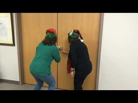 Bissell BigGreen Commercial