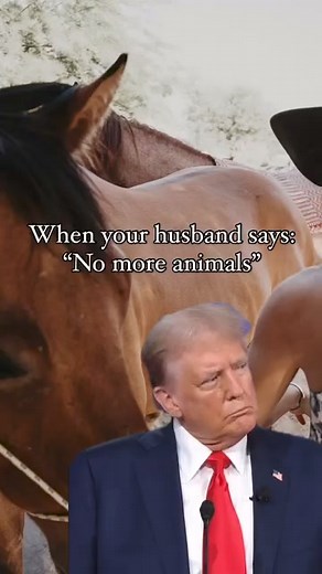 Sweet Clover Farm on Reels