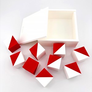 Kohs Cubes With White Box – WAIS Test | Psychology and Cognitive Assessment Materials | Whesler Test | Kohs Cubes - Etsy