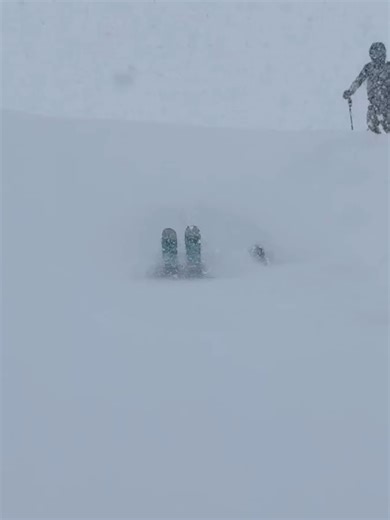 Mastering Skiing Techniques for Elevating Your Skills