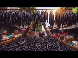 Incredible Chinese Leech Farming | Complete Guide to Medicinal Leech Cultivation & Profit