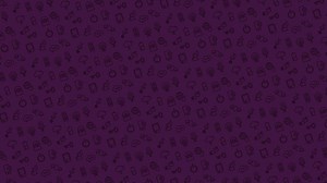 Day Options | Novita