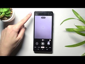 How to Manage Camera Sounds on GOOGLE Pixel 6 - Camera Settings