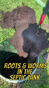 240K views · 1.2K reactions | Roots & worms in the septic tank #poorpumpersociety #septictank #reels | Poor Pumper Society | Facebook