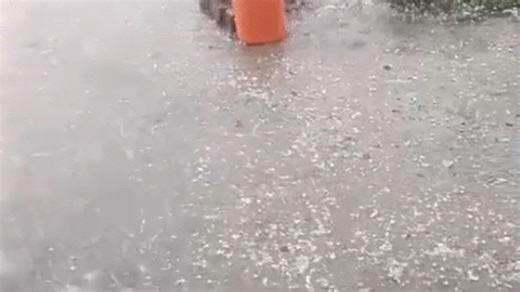 Rajasthan Weather Update| Rain Hailstorm Damage Crops | राजस्थान में बदला मौसम: कई जिलों में बारिश और ओलावृष्टि, फसलों को नुकसान, जयपुर में हादसों में 2 की मौत | News Track in Hindi