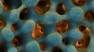 The stunning images that are invisible to the naked eye