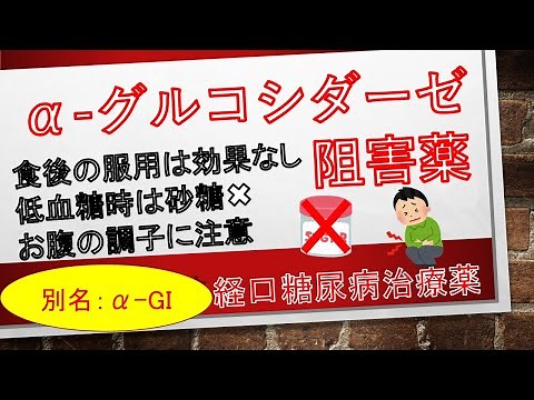 【α-グルコシダーゼ阻害薬】グルコバイ、ベイスン、セイブル 10分で解説 糖尿病治療薬