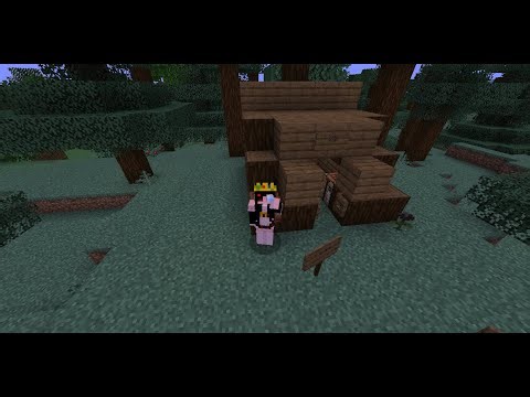 Computer SMP - Lore - Spying Time