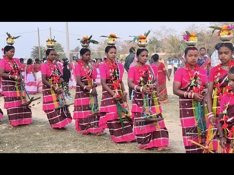 TILKA JAYANTI PROGRAM 11/02/2026 💐 GANDHANIA DAMPARA 💐santali traditional dance performance #santali