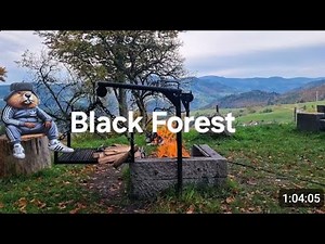 Nature Sounds 4K 🌿 Birds Singing & Campfire for Sleep (No Music, Real Ambient Sounds)