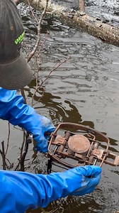 16K views · 297 reactions | Great location for beaver catches | Dunlap LURES | Facebook