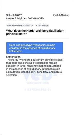 Hardy Weinberg Equilibrium Explained 12th Biology