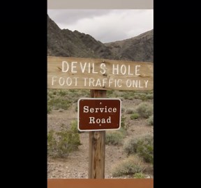 The Mind-Blowing Story of Devils Hole, An Eerie Alien Geology On Earth