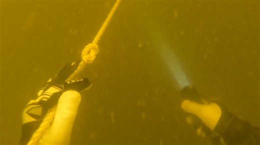 The $1M Megalodon Tooth Search That Went Wrong