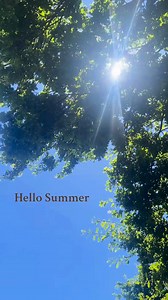 Hello Summer at Carrick Hill ☀️ | Carrick Hill
