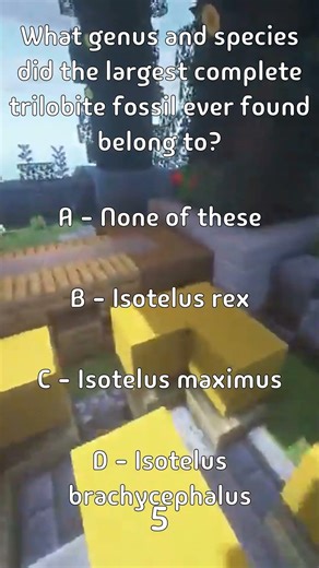 What genus and species did the largest complete trilobite fossil ever found belong to?