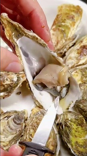 DELICIOUS Steamed Oysters with Garlic Sauce #cooking #mealprep #food