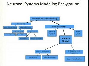 Non-parametric non-linear system modelling with volterra series - Theodore Zanos, PhD