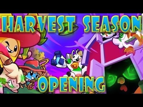Opening ALL Harvest Season Rewards in Boddle!!!