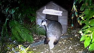 591K views · 8.4K reactions | I’m sorry this may be upsetting to some...