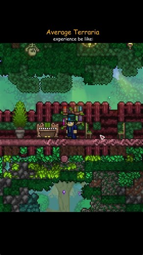 Average Terraria player would experienced it