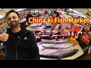China Series Epi 2: Amazing! Fish Market in China🇨🇳♥️