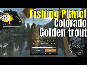 Fishing Planet | Colorado golden trout, spinner lure