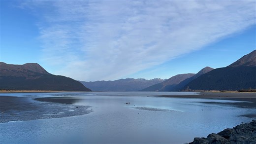 Check out this awesome video of the bore tide coming in and some swans taking off, taken from the Point at AWCC! The bore tide is a wave that is formed when the incoming tide rushes into the Turnagain Arm. 🎥 Ivie Carvo #boretide | Alaska Wildlife Conservation Center
