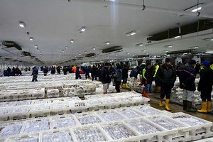 UK Fishers Welcome Strengthening of Fisheries Bill | Fish focus