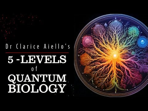 What is Quantum Biology? Dr Clarice Aiello's five-level classification