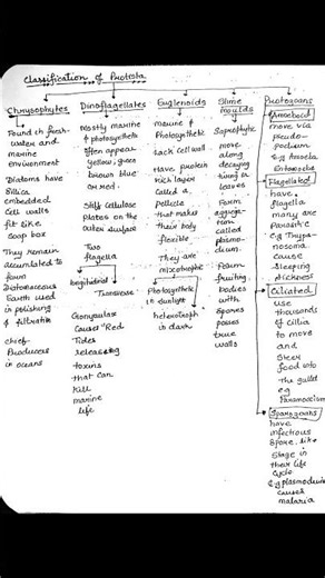 Classification of Protist / Revision Notes NEET